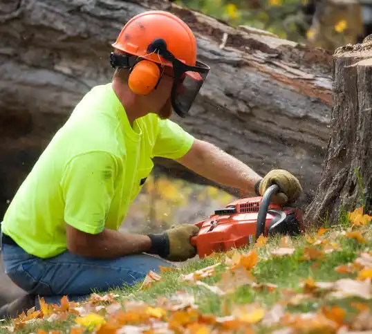 tree services Village of Four Seasons